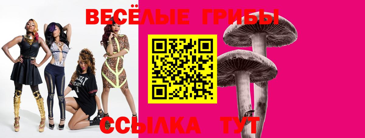 Псилоцибиновые грибы MAGIC MUSHROOMS  Вход с VPN  Борисоглебск 